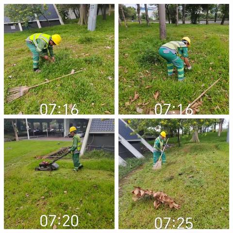 【107国道】2023年10月7日绿化日记