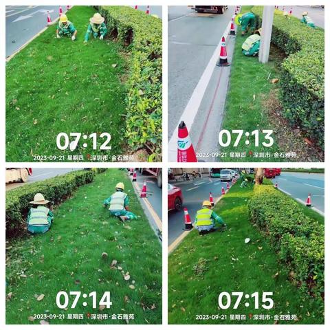 （107国道）2023年9月21日绿化日记