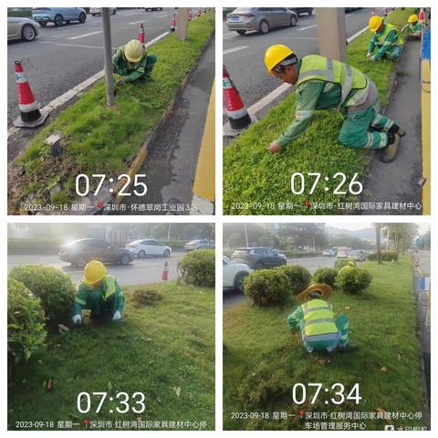 （107国道）2023年9月18日绿化日记