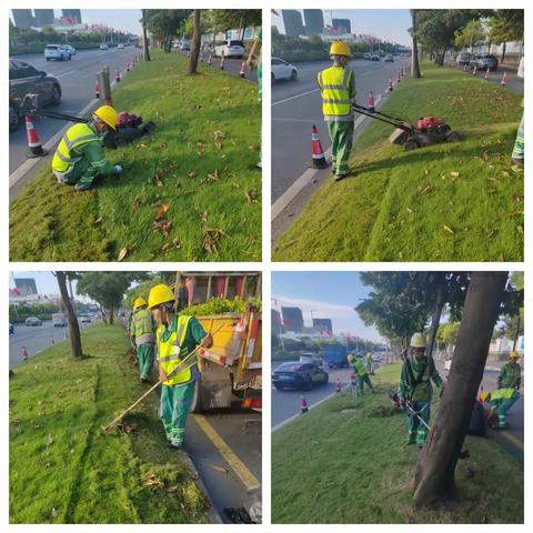 （107国道）2023年9月25日绿化日记