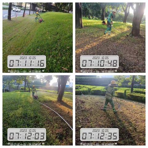 【107国道】2023年10月5日绿化日记