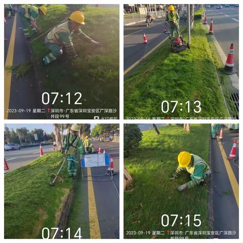 （107国道）2023年9月19日绿化日记