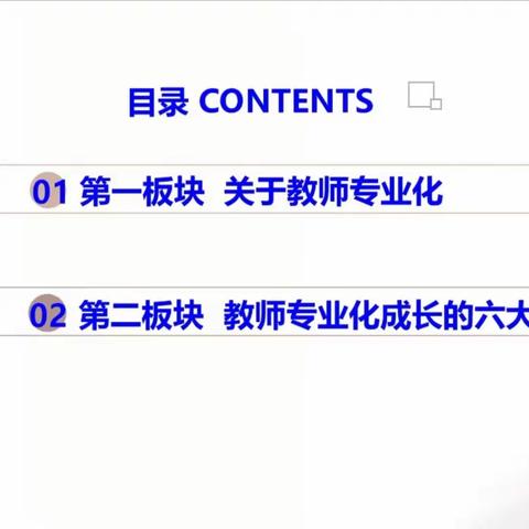 潜心教书育人，终身敬业学习——2020年“十三五新教师助力工程线上网络直播培训学习”小学组17班