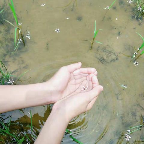 潼北小学研学旅行