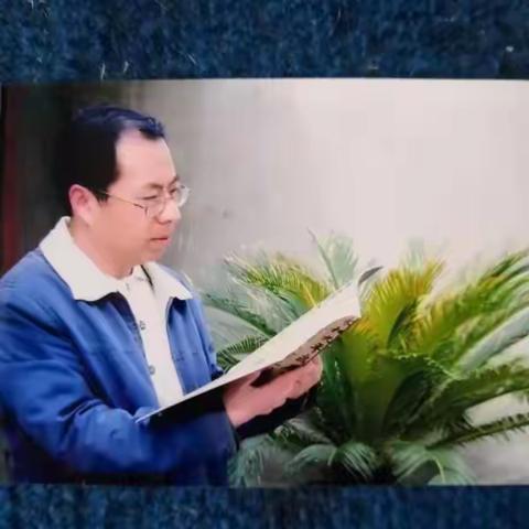 裴凤宇书画家情况介绍
