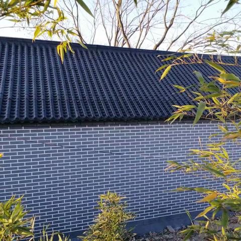 仁清禅寺修建古佛殿情况