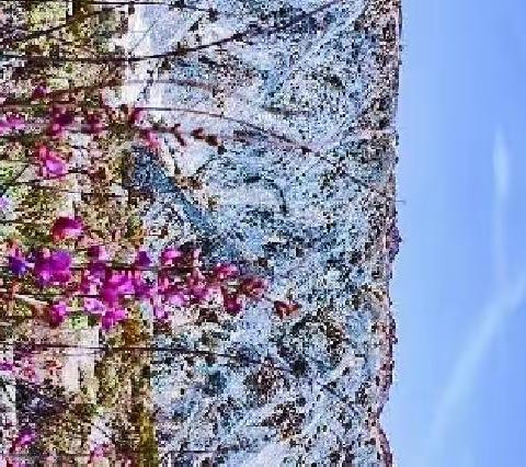 新疆行之十八:砖砌公路、罗布泊和红柳沟