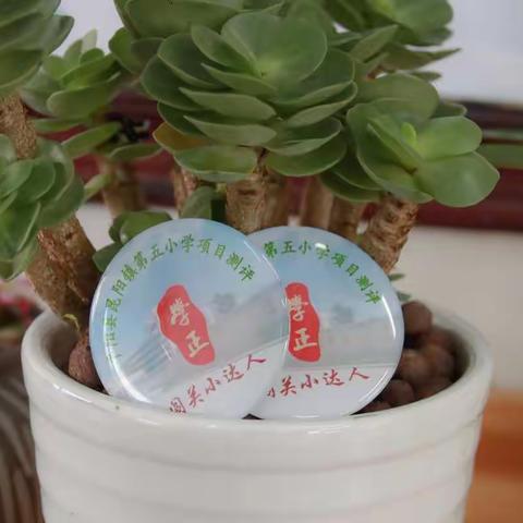 “童样”六一·别样欢乐 ——记录二（3）班不一样的儿童节