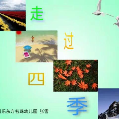 东方名珠幼儿园中班科学综合活动活动：《走过四季》