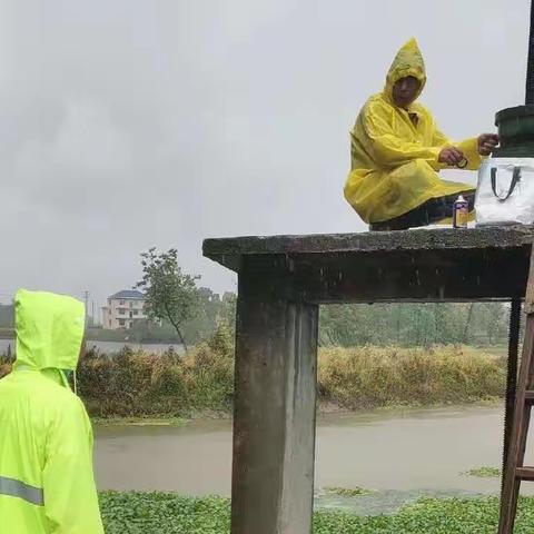 防汛排涝保安全，纾困解难暖民心