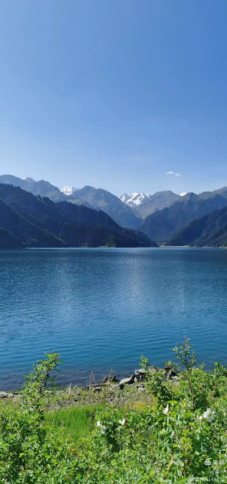 6月的新疆天山天池