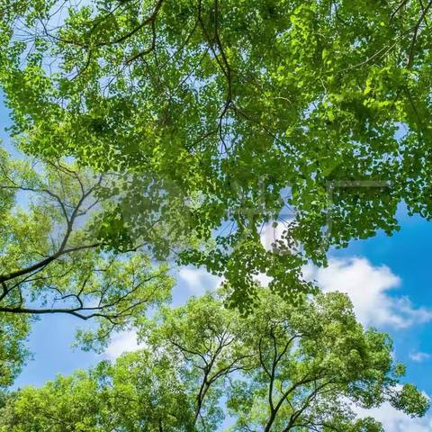 生有热烈，藏于俗常，取悦自己，热爱生活