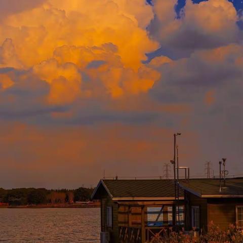 唯有你也想见我的时候，我们见面才有意义