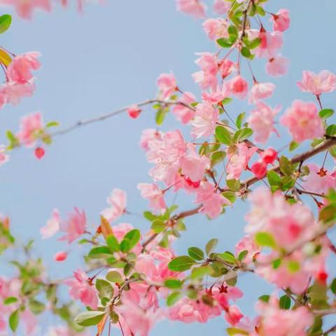 独立到心里不依赖任何人是怎样的体验？