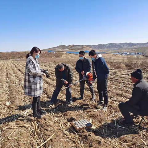 扎兰屯市开展土壤墒情监测工作