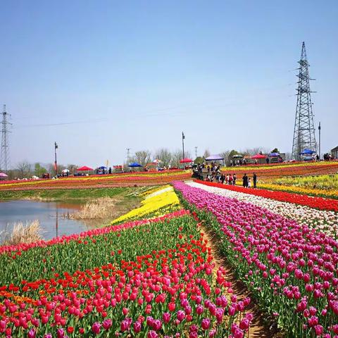 春之约（综合版）