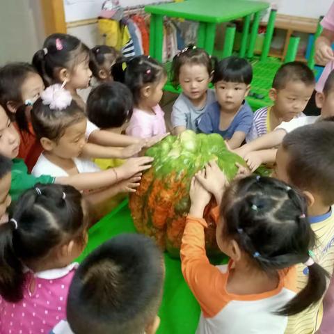 不负时光，遇见成长—寒亭区机关幼儿园小一班记录美好一周