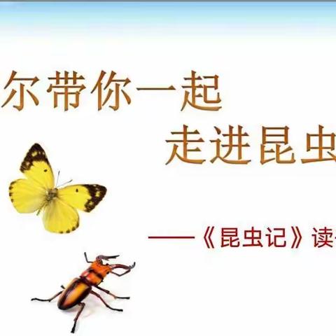 小昆虫，大世界———四10班《昆虫记》读书汇报会