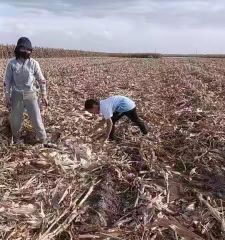 通辽市新世纪学校五年三班假期生活记录