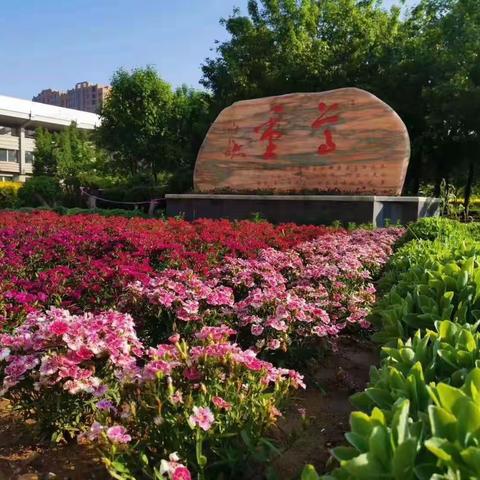 【实验.教学】疫散花开际 复学正当时，———鲅鱼圈区实验学校复学第一周教学工作小结