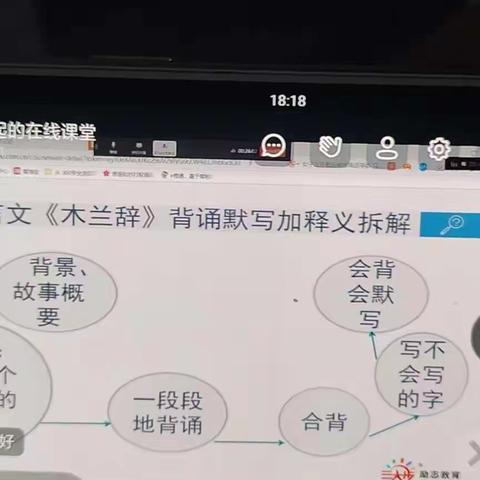 高一四班网课总结