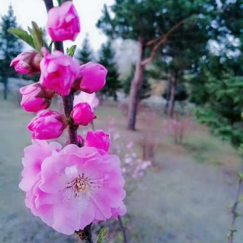 五中明天会更好！