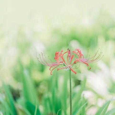 百名干部进村小，盛夏之际送清凉