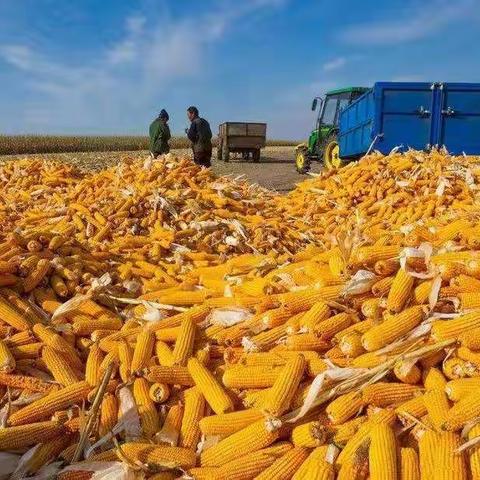 秋收农忙，手部绞伤事故多发，这些救治常识您一定要知道！