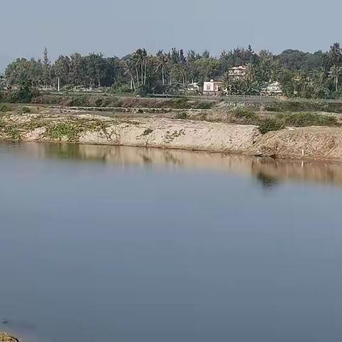 防溺水安全巡查
