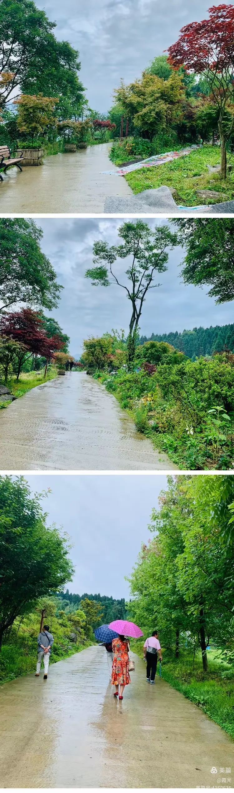 红白镇天气预报今日情况