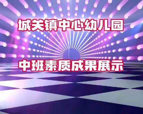 平利县城关镇中心幼儿园中班学期末素质展示