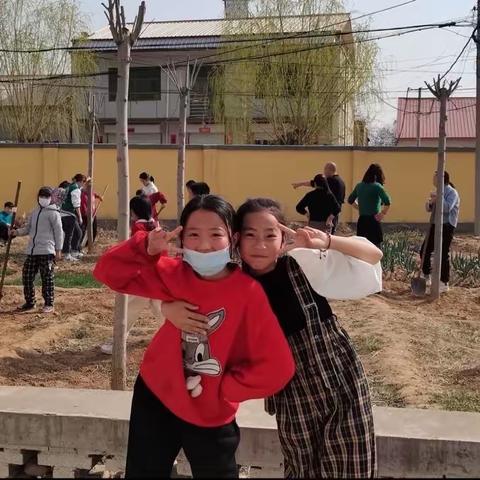 “植于心，树未来”主题活动（西朝阳小学——周博华）