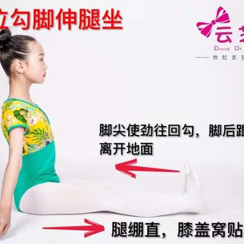云芝舞前进路校区十班暑假教学大纲