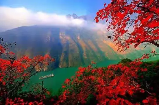 红叶寄情,秋风传意