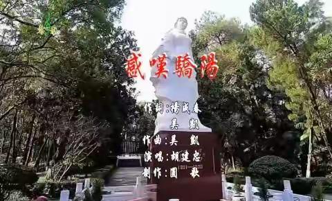 《感 叹 骄 杨》，圆歌影音，MV摄制组拍摄花絮