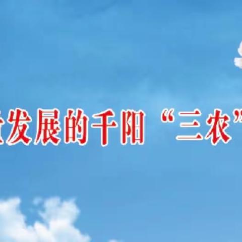 2021年高质量发展的千阳“三农”工作亮点回眸