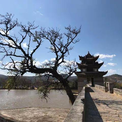 建水双龙桥·禄丰恐龙谷·昆明花之城2018.2.1