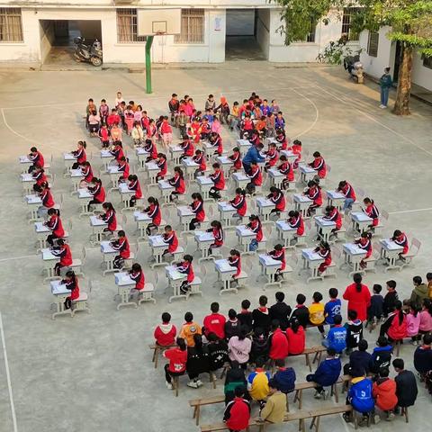 传承国语文化，弘扬书法精神——容县杨梅镇六美小学书法比赛