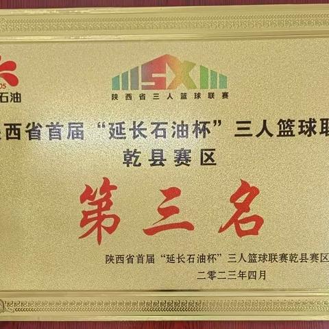 社团活动结硕果 篮球联赛传捷报——热烈祝贺杨汉中学体育赛事勇创佳绩