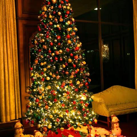 我家昨晚平安夜有一棵漂亮的聖誕樹，RIO湖邊有位老人在釣魚