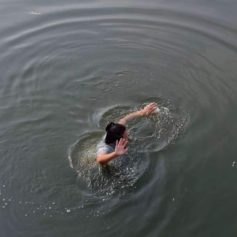 危难之际显身手——民警救助落水精神患者，迅速将年轻女子送医救治。