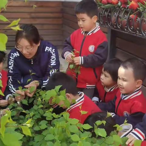 💗健康.快乐.营养💗 一周食谱（6月12日～16日）