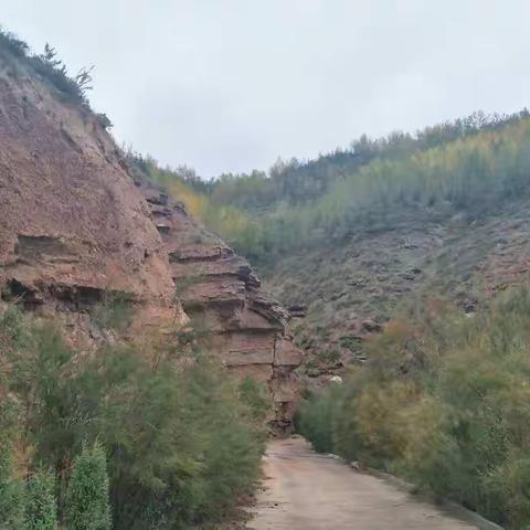 秋风秋雨秋渐凉，秋花秋树秋叶黄