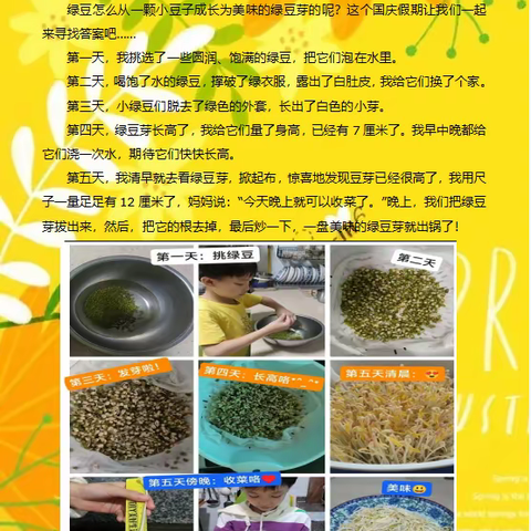 西小233班绿豆发芽观察记