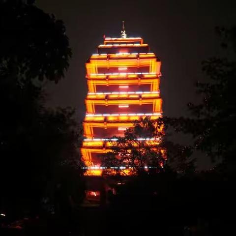 ☞鹅岭公园夜观山城