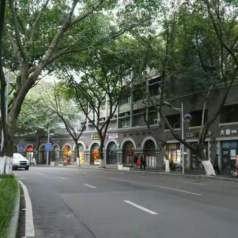 ☞中山四路——“重庆最美街道”