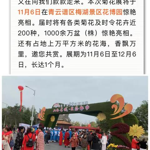 青云谱大队全力做好第32届菊花展开幕式交通保障
