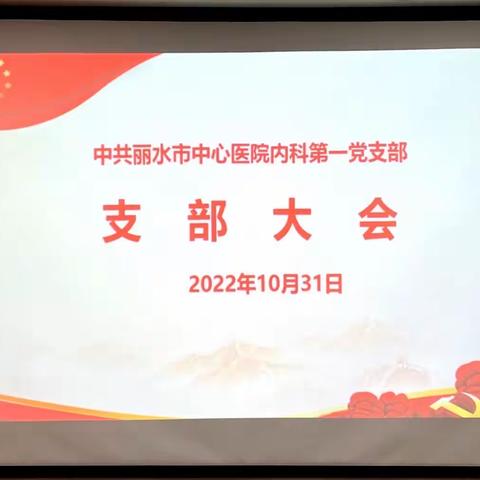 丽水市中心医院内科第一党支部召开支部大会学习贯彻党的二十大精神