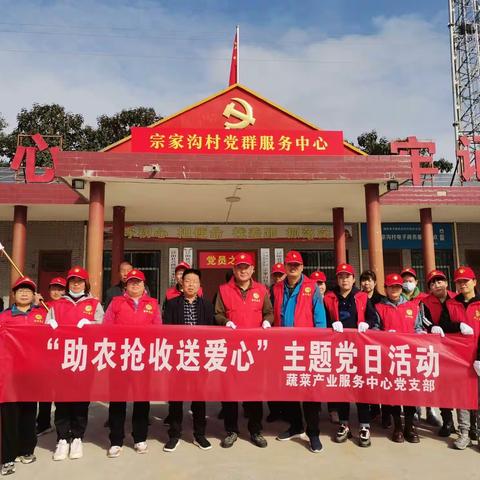 爱心助农，我们在行动