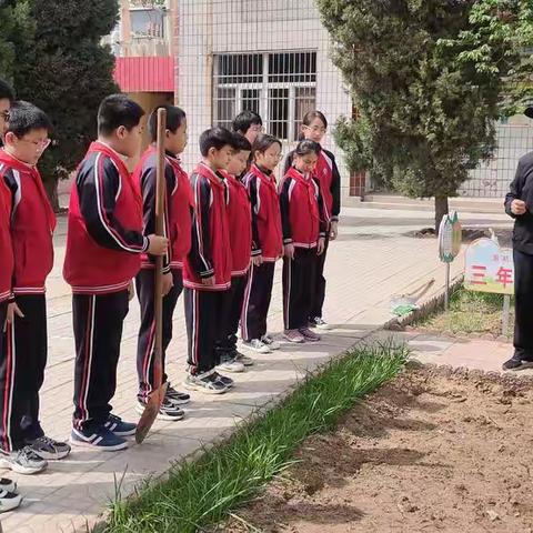 “劳动励心智，实践促成长”——深泽县留村乡大贾庄村小学劳动实践课